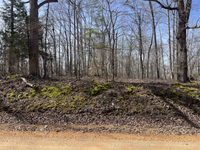 Wooded Land For Sale In Hardin County Tn, 11 Acres - image 1