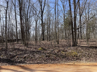 Wooded Land For Sale In Hardin County Tn, 11 Acres - image 11