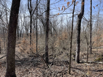 Wooded Land For Sale In Hardin County Tn, 11 Acres - image 19