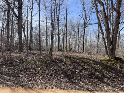 Wooded Land For Sale In Hardin County Tn, 11 Acres - image 2