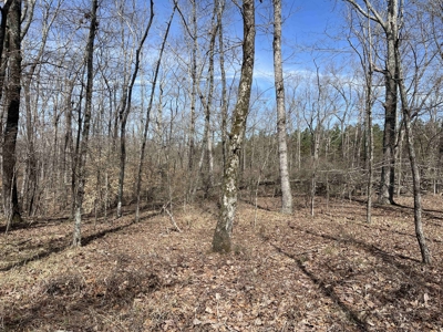 Wooded Land For Sale In Hardin County Tn, 11 Acres - image 7
