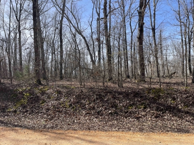 Wooded Land For Sale In Hardin County Tn, 11 Acres - image 5