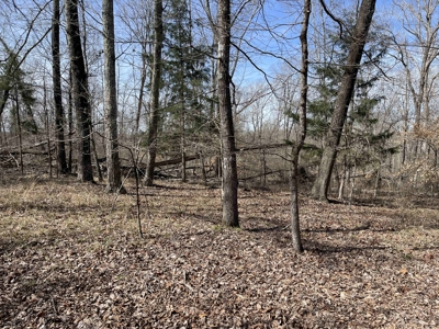 Wooded Land For Sale In Hardin County Tn, 11 Acres - image 13