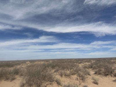 Land for Sale Deming NM, Acreage - image 12