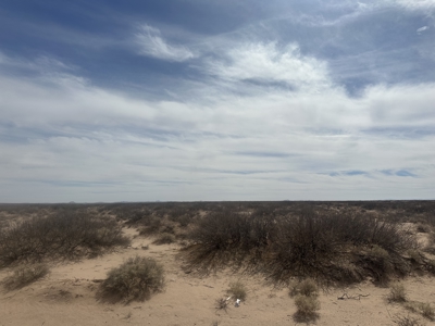 Land for Sale Deming NM, Acreage - image 6