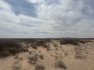 Land for Sale Deming NM, Acreage - image 7