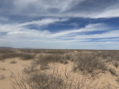 Land for Sale Deming NM, Acreage - image 11