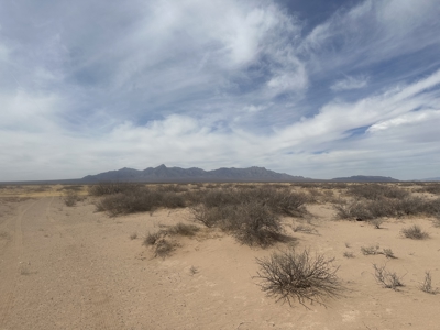 Land for Sale Deming NM, Acreage - image 9