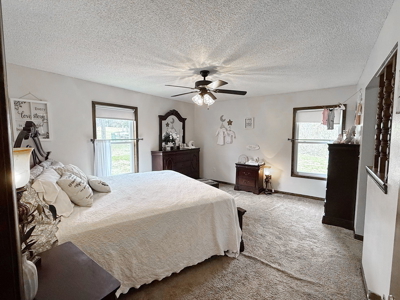 Country Home on 16 Acres for Sale in Cedar County Missouri. - image 18
