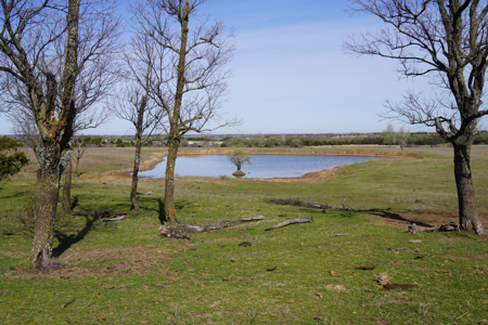 Hay Pasture Hobby Farm For Sale, Cushing, Oklahoma - image 21