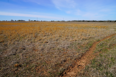 Hay Pasture Hobby Farm For Sale, Cushing, Oklahoma - image 27