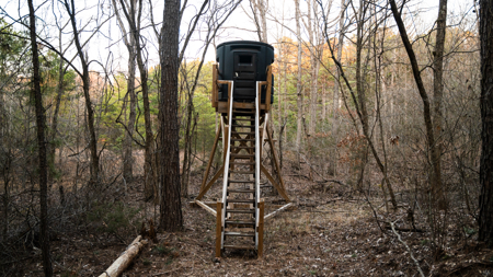 Multi-Property Hunting Estate for Sale in Washington County, Missouri - image 46