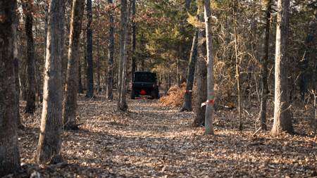 Multi-Property Hunting Estate for Sale in Washington County, Missouri - image 43