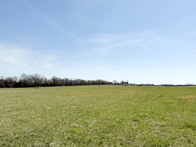 Cedar County MO Farm with High-End All-Brick Home for Sale - image 45