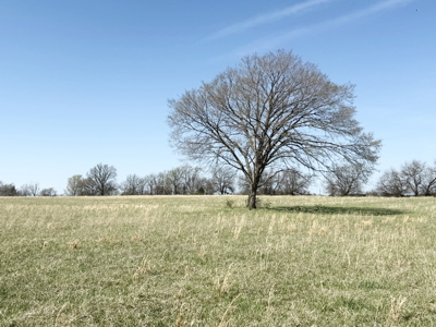 Cedar County MO Farm with High-End All-Brick Home for Sale - image 48