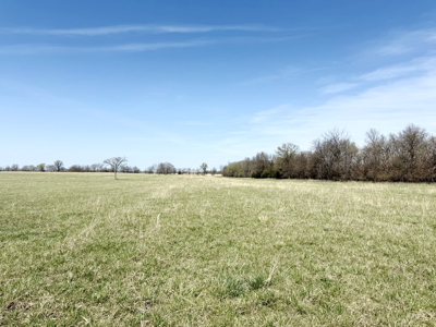 Cedar County MO Farm with High-End All-Brick Home for Sale - image 47