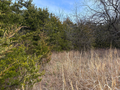 North Missouri Hunting farm for sale in Mercer, County, MO - image 9