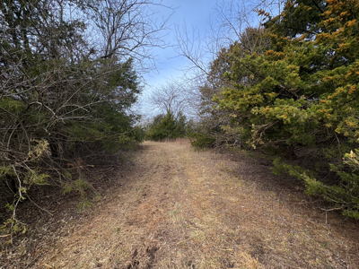 North Missouri Hunting farm for sale in Mercer, County, MO - image 18