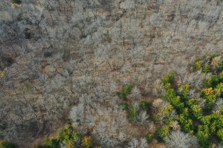 North Missouri Hunting farm for sale in Mercer, County, MO - image 30