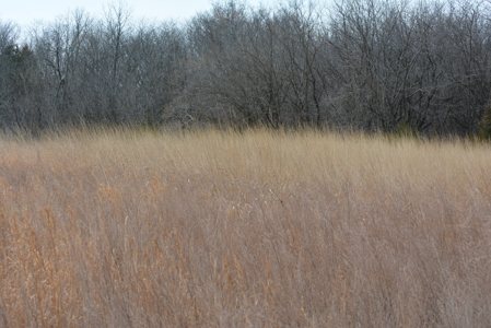 North Missouri Hunting farm for sale in Mercer, County, MO - image 20