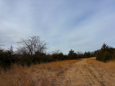 North Missouri Hunting farm for sale in Mercer, County, MO - image 16