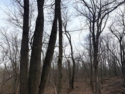 North Missouri Hunting farm for sale in Mercer, County, MO - image 21