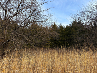 North Missouri Hunting farm for sale in Mercer, County, MO - image 11