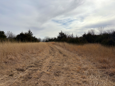 North Missouri Hunting farm for sale in Mercer, County, MO - image 15