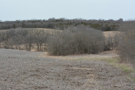North Missouri Hunting farm for sale in Mercer, County, MO - image 8