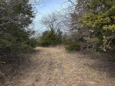 North Missouri Hunting farm for sale in Mercer, County, MO - image 17