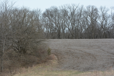 North Missouri Hunting farm for sale in Mercer, County, MO - image 4