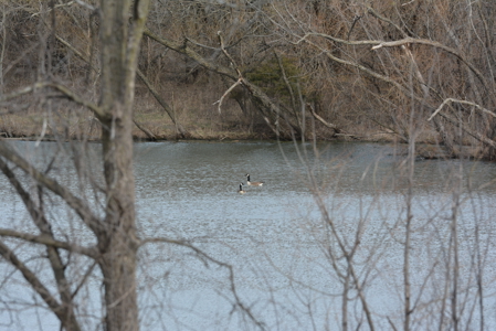 North Missouri Hunting farm for sale in Mercer, County, MO - image 5