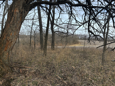 North Missouri Hunting farm for sale in Mercer, County, MO - image 13