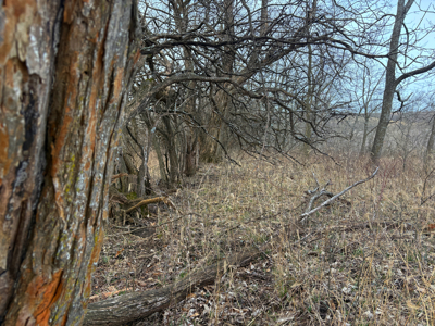 North Missouri Hunting farm for sale in Mercer, County, MO - image 12