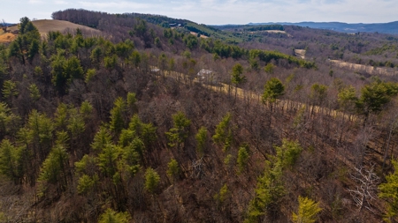 Country Home for Sale in Riner VA - image 18