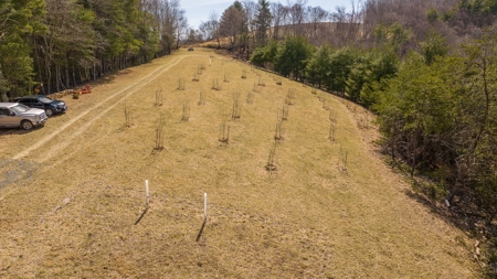 Country Home for Sale in Riner VA - image 7