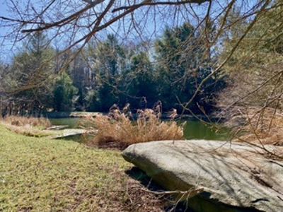 Farmhouse for Sale in Floyd VA - image 7