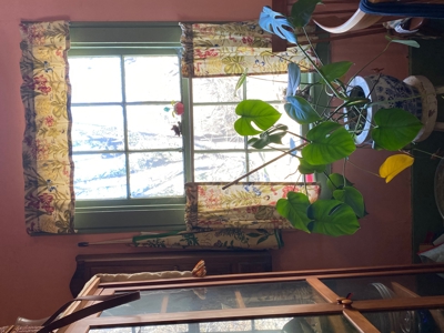 Farmhouse for Sale in Floyd VA - image 18