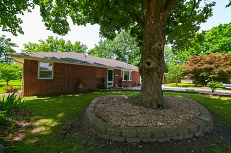 Home For Sale Mount Vernon Missouri - image 5