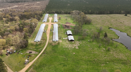 Louisiana 4 House Poultry Farm with 21 Acres and Residence - image 7