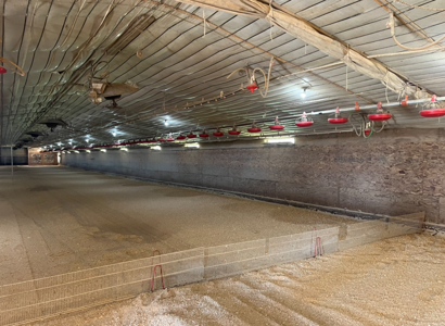 Louisiana 4 House Poultry Farm with 21 Acres and Residence - image 37