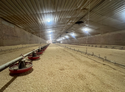 Louisiana 4 House Poultry Farm with 21 Acres and Residence - image 40