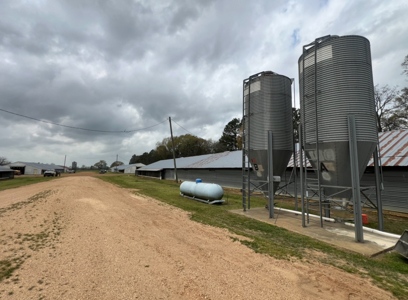 Louisiana 4 House Poultry Farm with 21 Acres and Residence - image 15