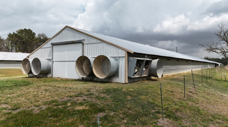 Louisiana 4 House Poultry Farm with 21 Acres and Residence - image 29