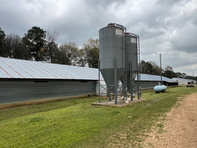 Louisiana 4 House Poultry Farm with 21 Acres and Residence - image 21