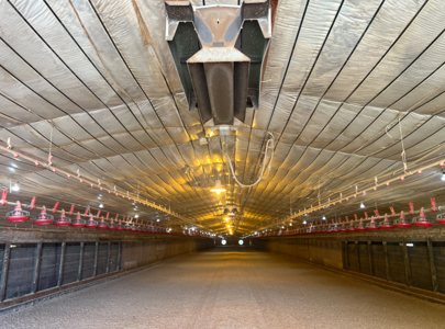 Louisiana 4 House Poultry Farm with 21 Acres and Residence - image 36