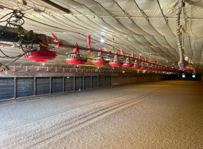 Louisiana 4 House Poultry Farm with 21 Acres and Residence - image 35