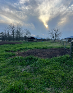 Louisiana 4 House Poultry Farm with 21 Acres and Residence - image 42