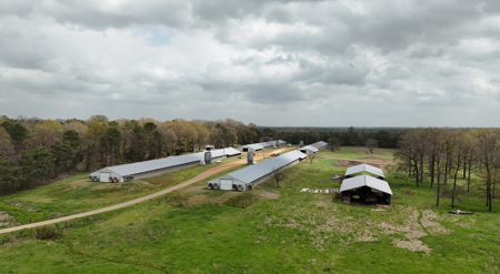 Louisiana 4 House Poultry Farm with 21 Acres and Residence - image 1