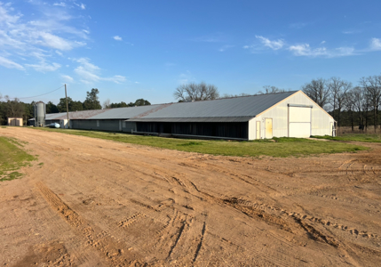 Louisiana 4 House Poultry Farm with 21 Acres and Residence - image 32